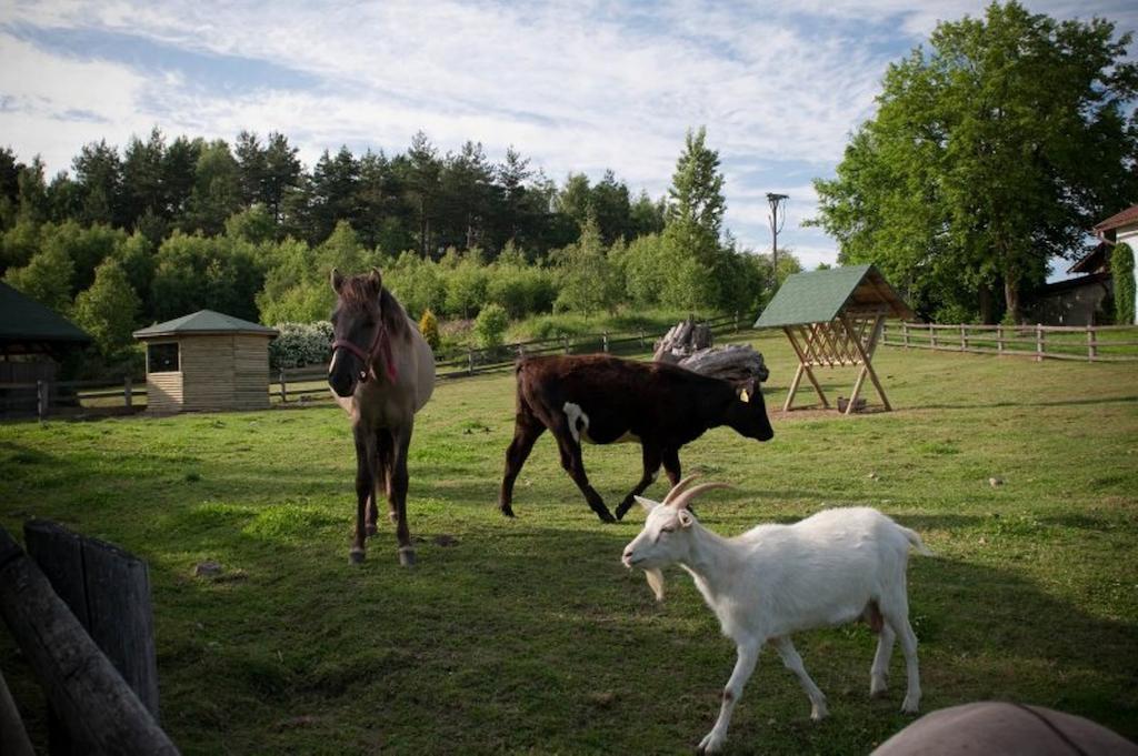 Zielone Wzgorza Villa Bytów Buitenkant foto